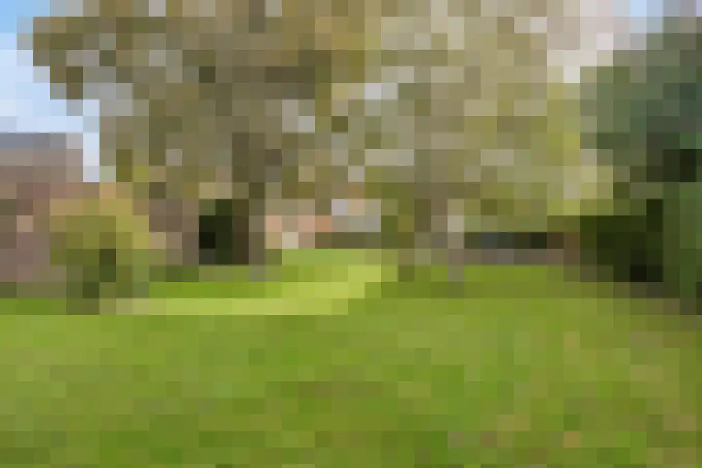 Dr. Schaepmanstraat 37 Tiel thumbnail 56