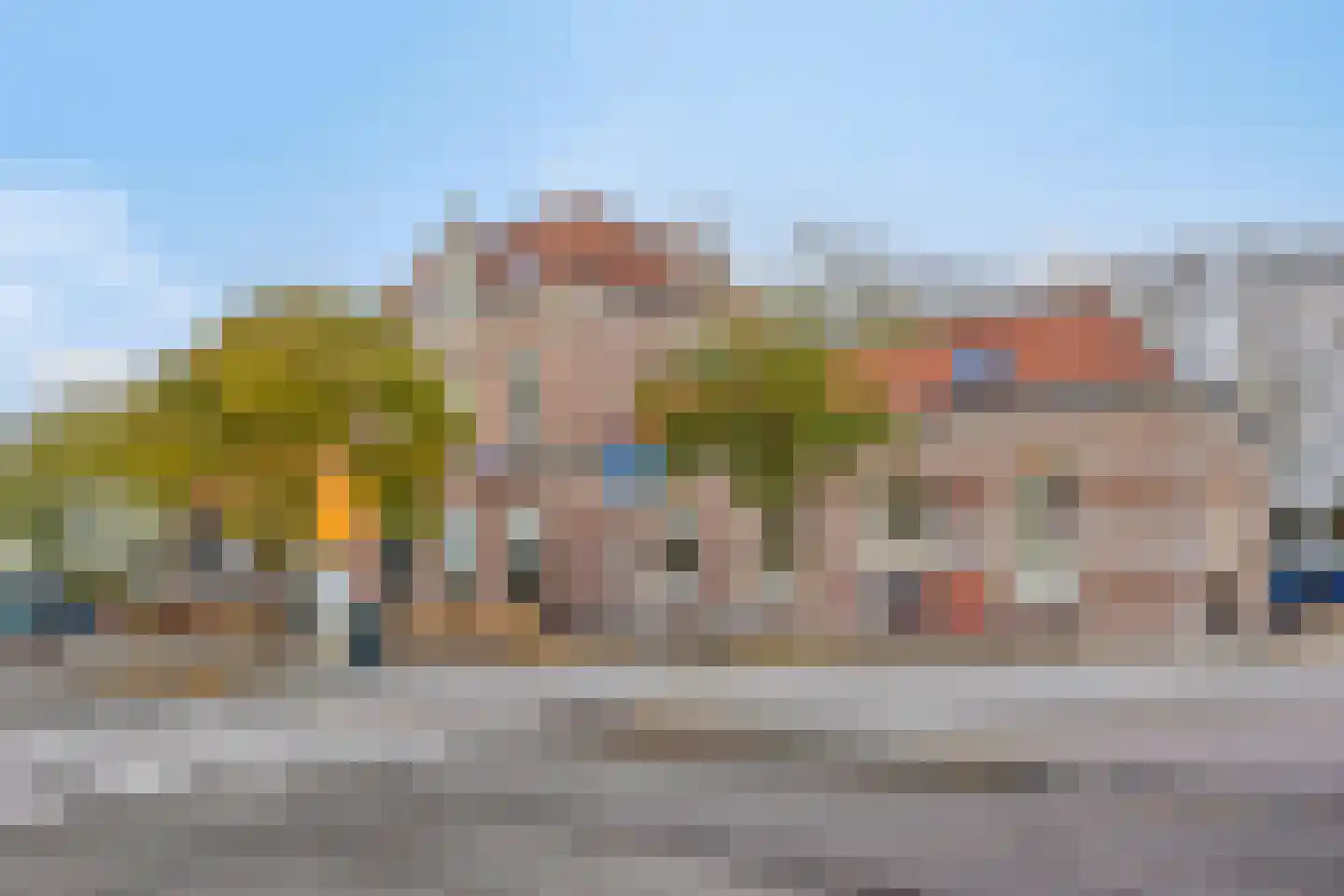 Dr. Schaepmanstraat 37 Tiel thumbnail 57