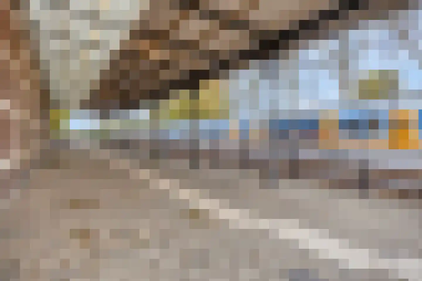 Dr. Schaepmanstraat 37 Tiel thumbnail 58