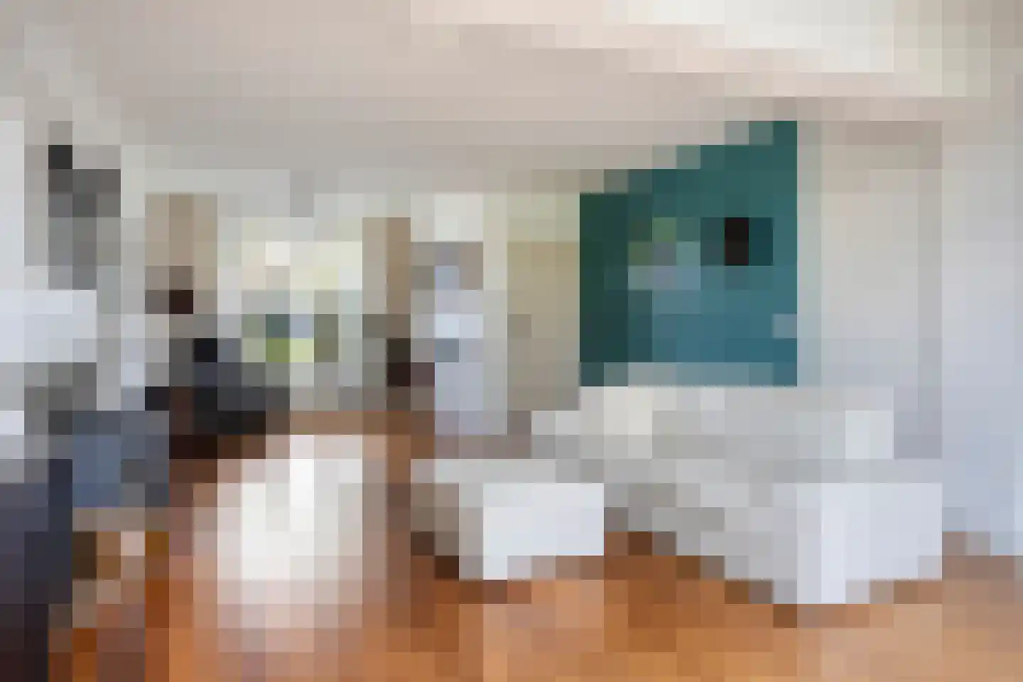 Dr. Schaepmanstraat 37 Tiel thumbnail 7