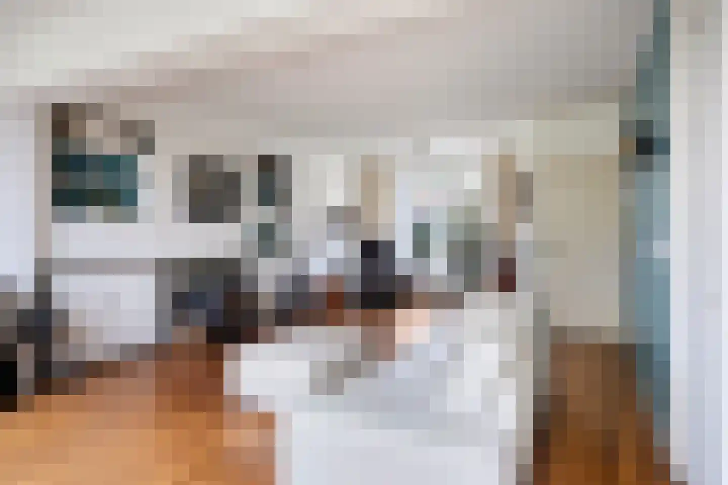 Dr. Schaepmanstraat 37 Tiel thumbnail 8