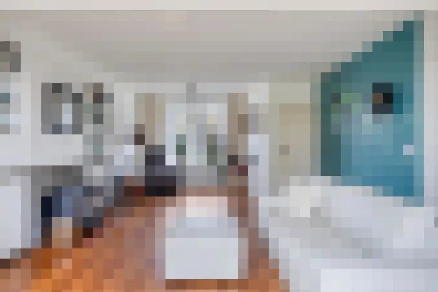 Dr. Schaepmanstraat 37 Tiel thumbnail 9