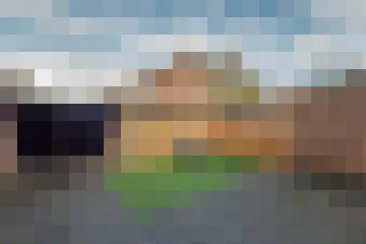 Dr. Schaepmanstraat 4 Valkenswaard thumbnail 16
