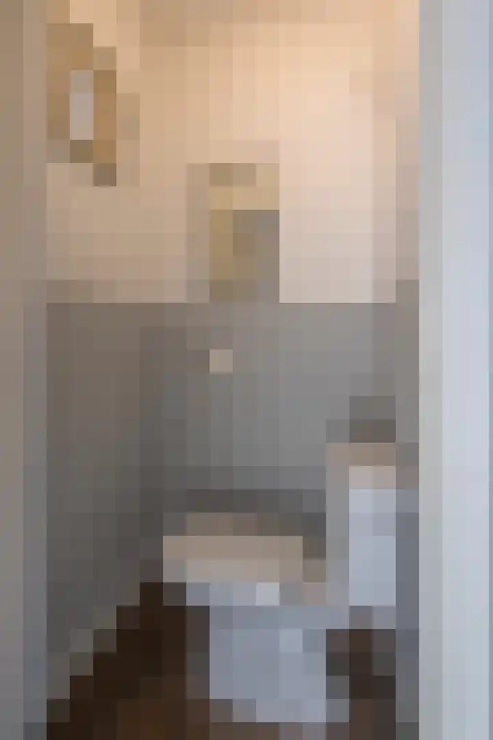Dr. Schaepmanstraat 4 Valkenswaard thumbnail 4