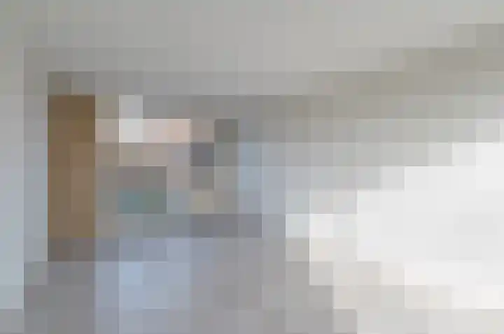 Dr. Schaepmanstraat 4 Valkenswaard thumbnail 5
