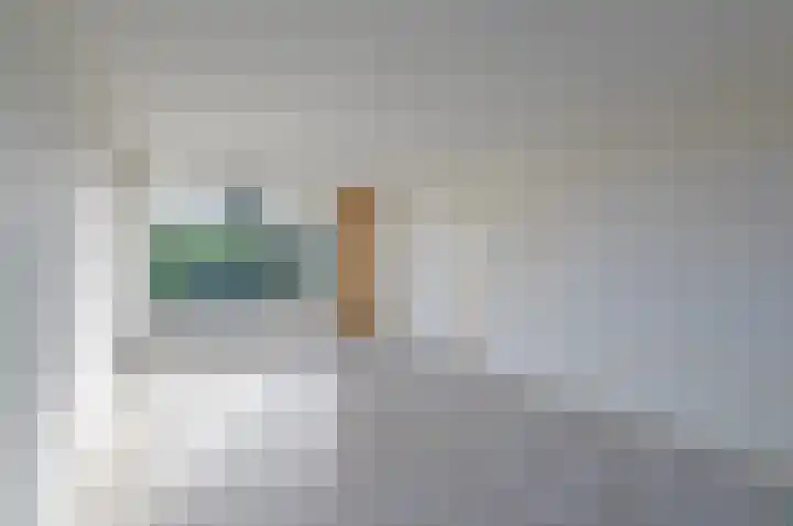Dr. Schaepmanstraat 4 Valkenswaard thumbnail 6