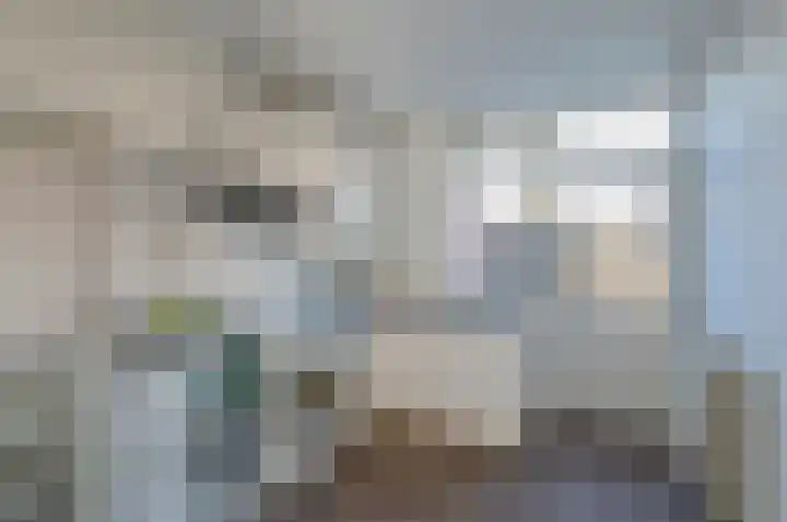 Dr. Schaepmanstraat 4 Valkenswaard thumbnail 7