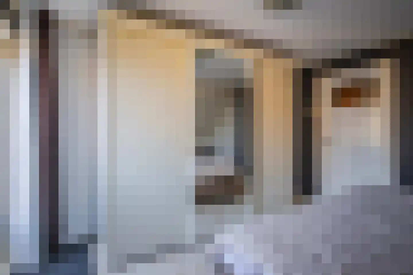 Dr. Schaepmanstraat 41 Westervoort thumbnail 32