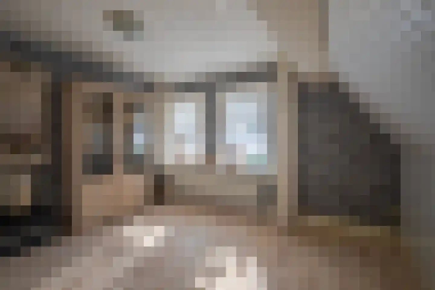 Dr. Schaepmanstraat 41 Westervoort thumbnail 37