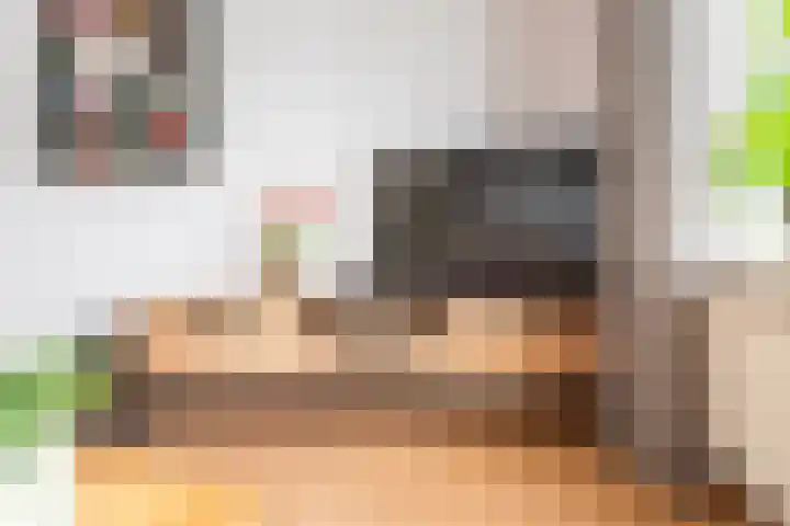 Dr Schaepmanstraat 48 Ulft thumbnail 14