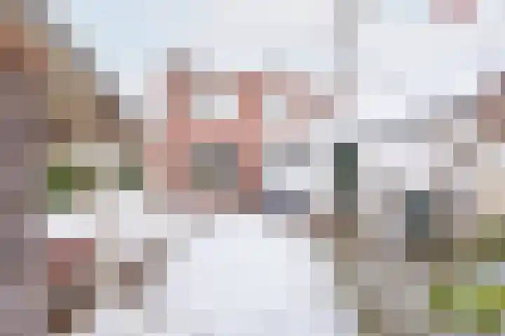 Dr Schaepmanstraat 48 Ulft thumbnail 4