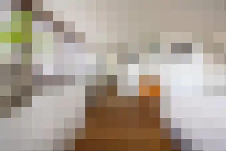 Dr.Schaepmanstraat 5 Alkmaar thumbnail 35