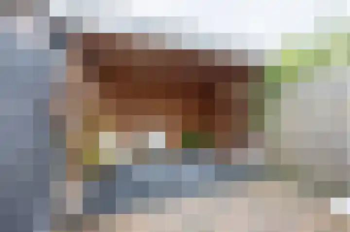Dr.Schaepmanstraat 5 Alkmaar thumbnail 38