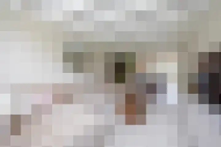 Dr.Schaepmanstraat 5 Alkmaar thumbnail 7