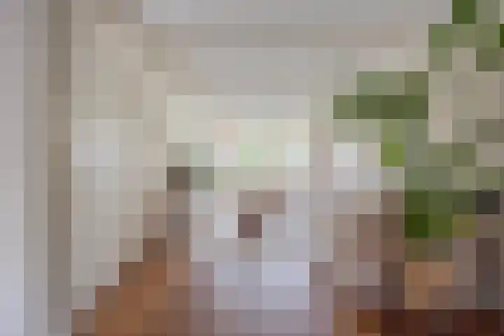 Dr.Schaepmanstraat 5 Alkmaar thumbnail 8