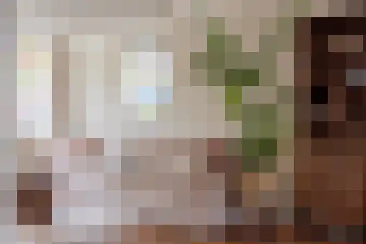 Dr.Schaepmanstraat 5 Alkmaar thumbnail 9