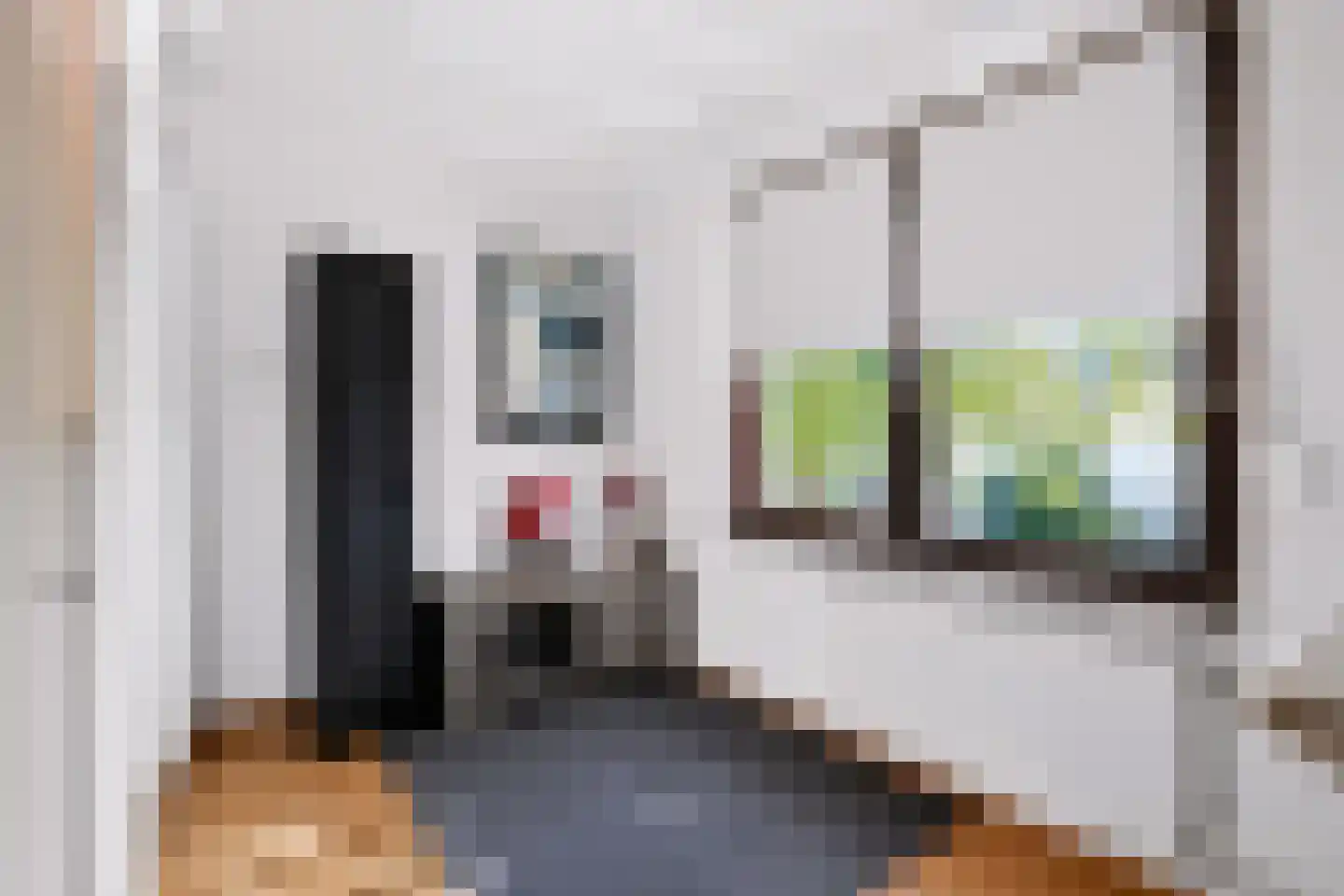 Dr. Schaepmanstraat 5 Geleen thumbnail 12