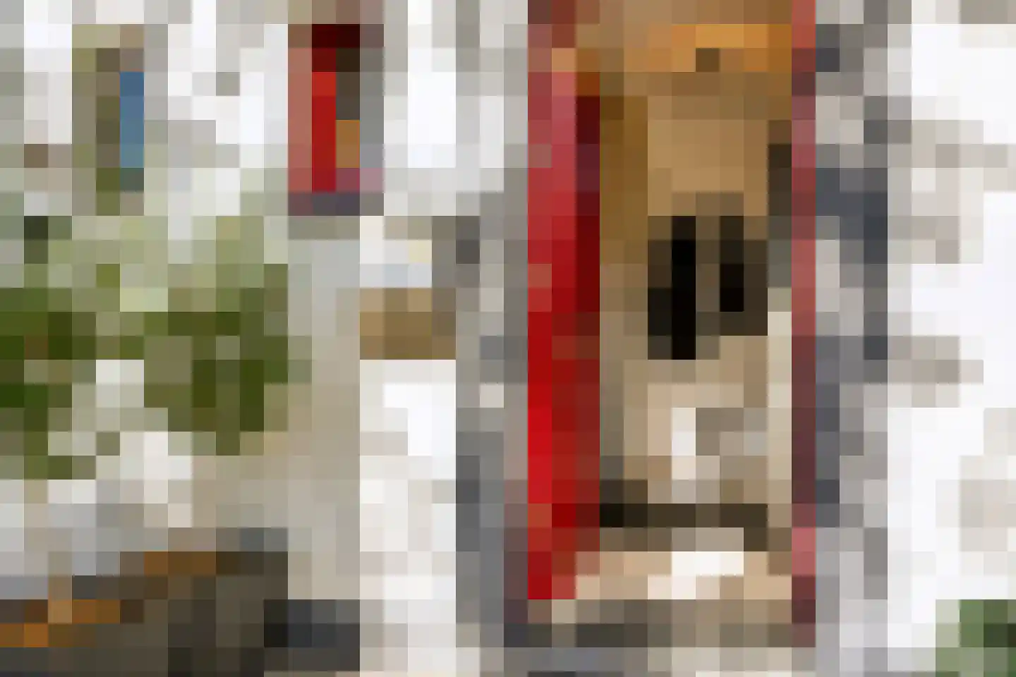 Dr. Schaepmanstraat 5 Geleen thumbnail 4