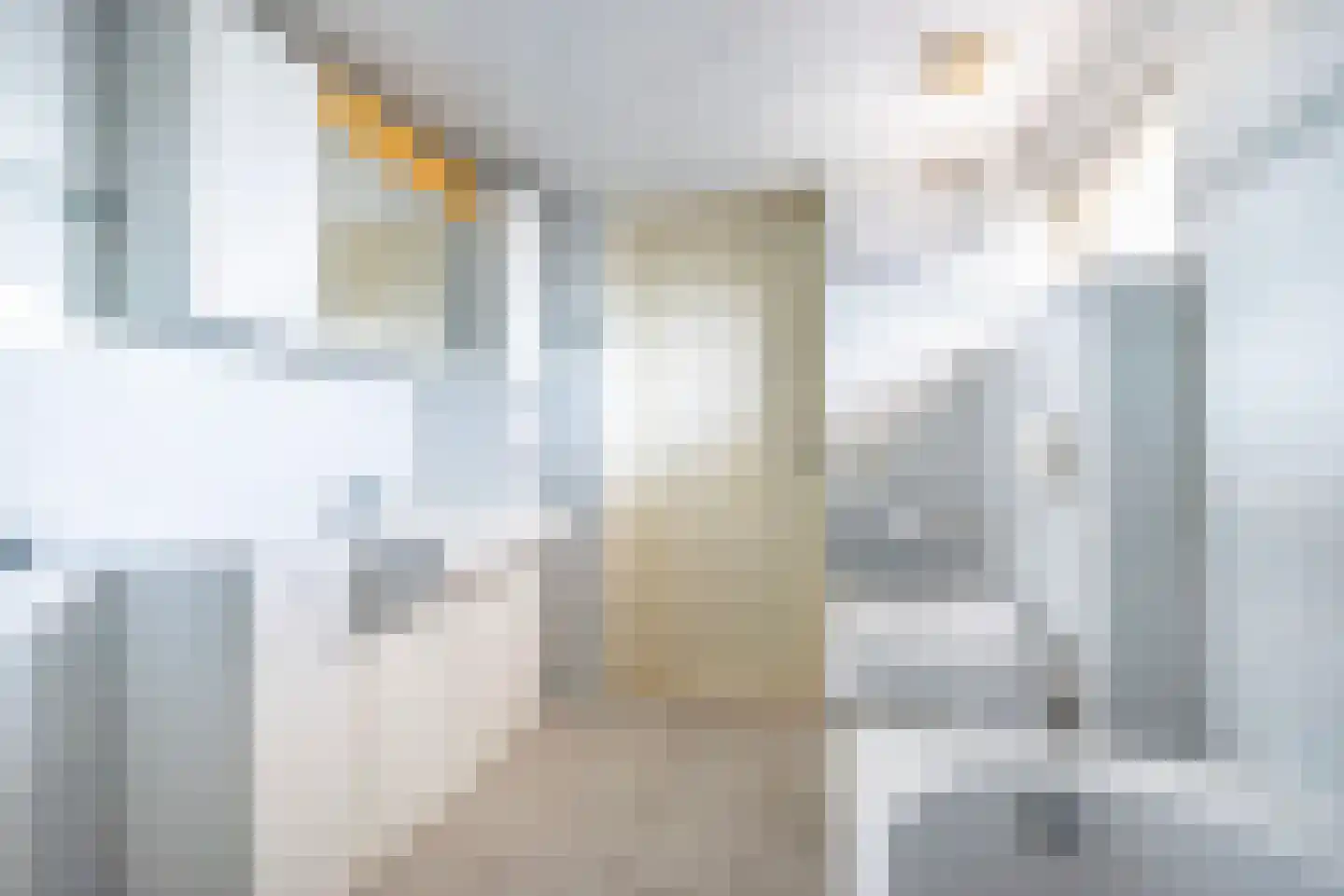 Dr Schaepmanstraat 50 Ulft thumbnail 20