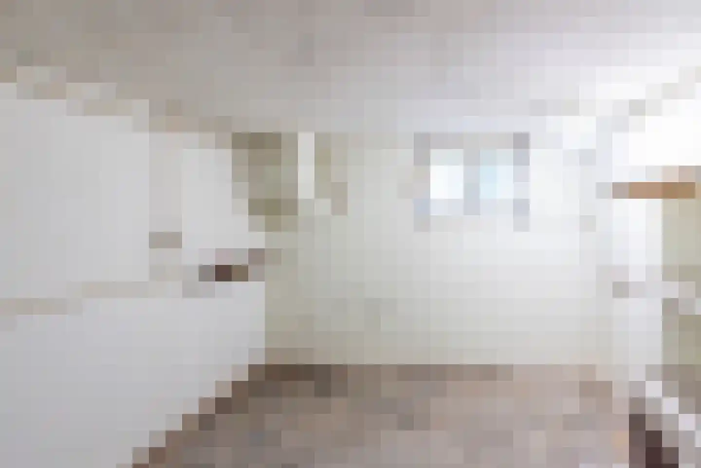 Dr Schaepmanstraat 50 Ulft thumbnail 22