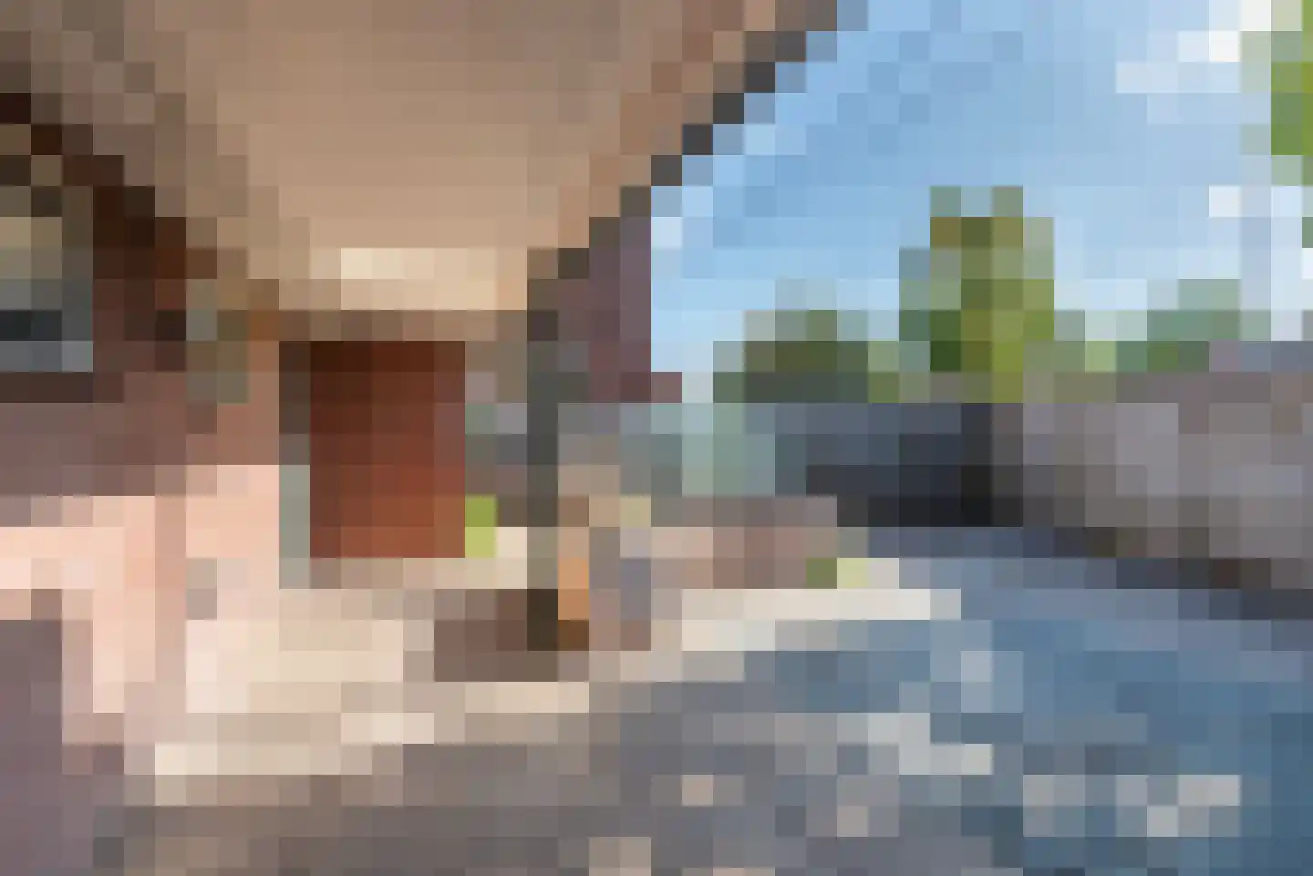 Dr Schaepmanstraat 50 Ulft thumbnail 38