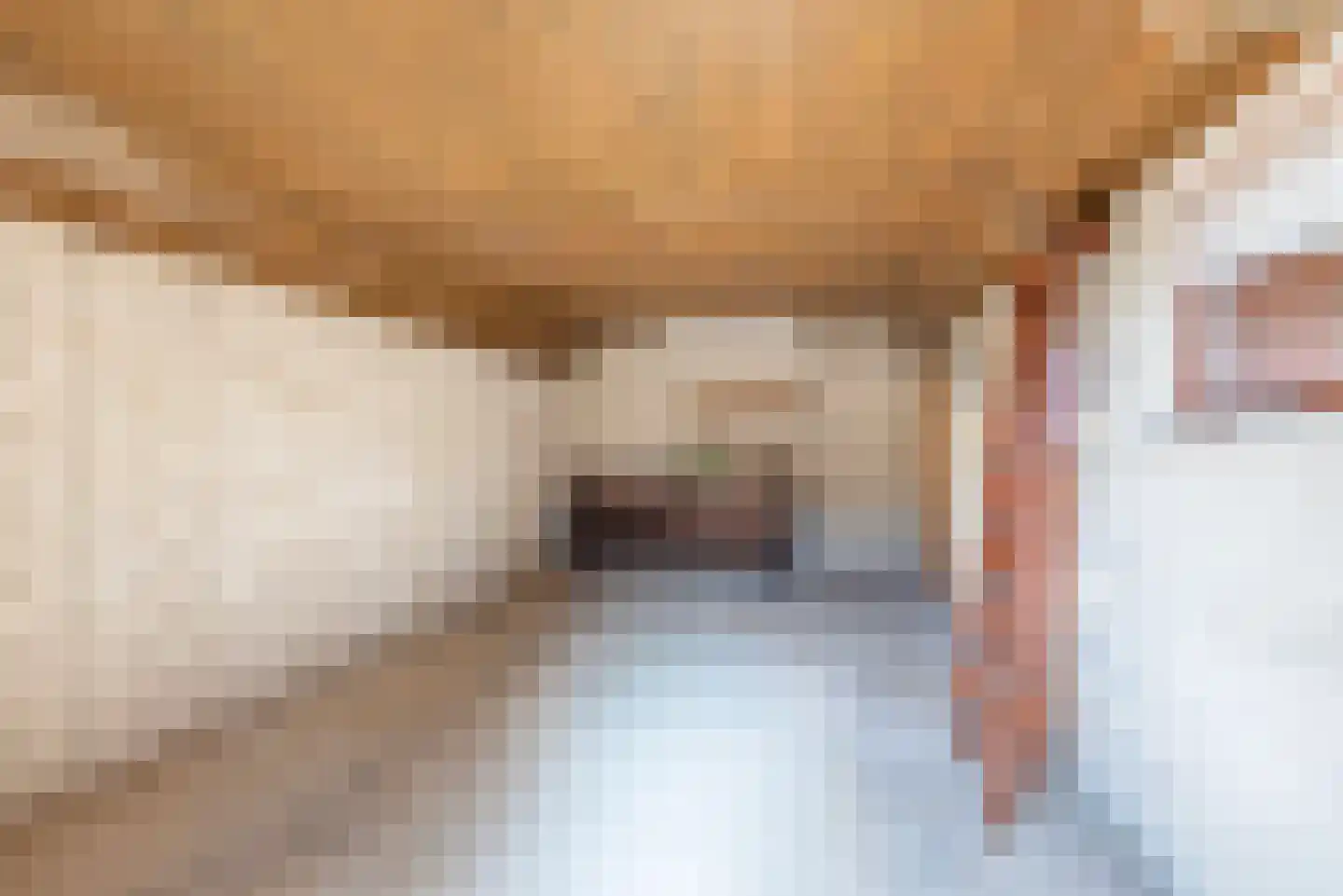 Dr Schaepmanstraat 50 Ulft thumbnail 43