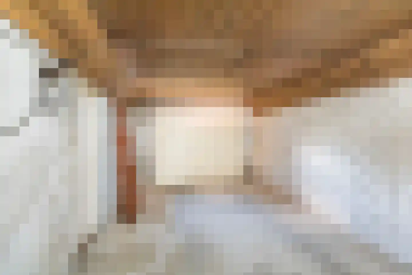 Dr Schaepmanstraat 50 Ulft thumbnail 44