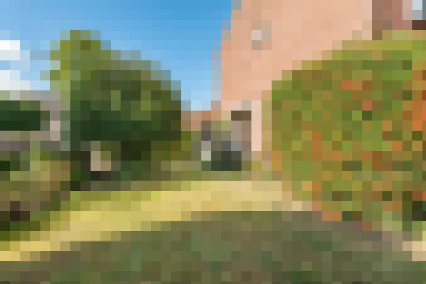 Dr Schaepmanstraat 50 Ulft thumbnail 48