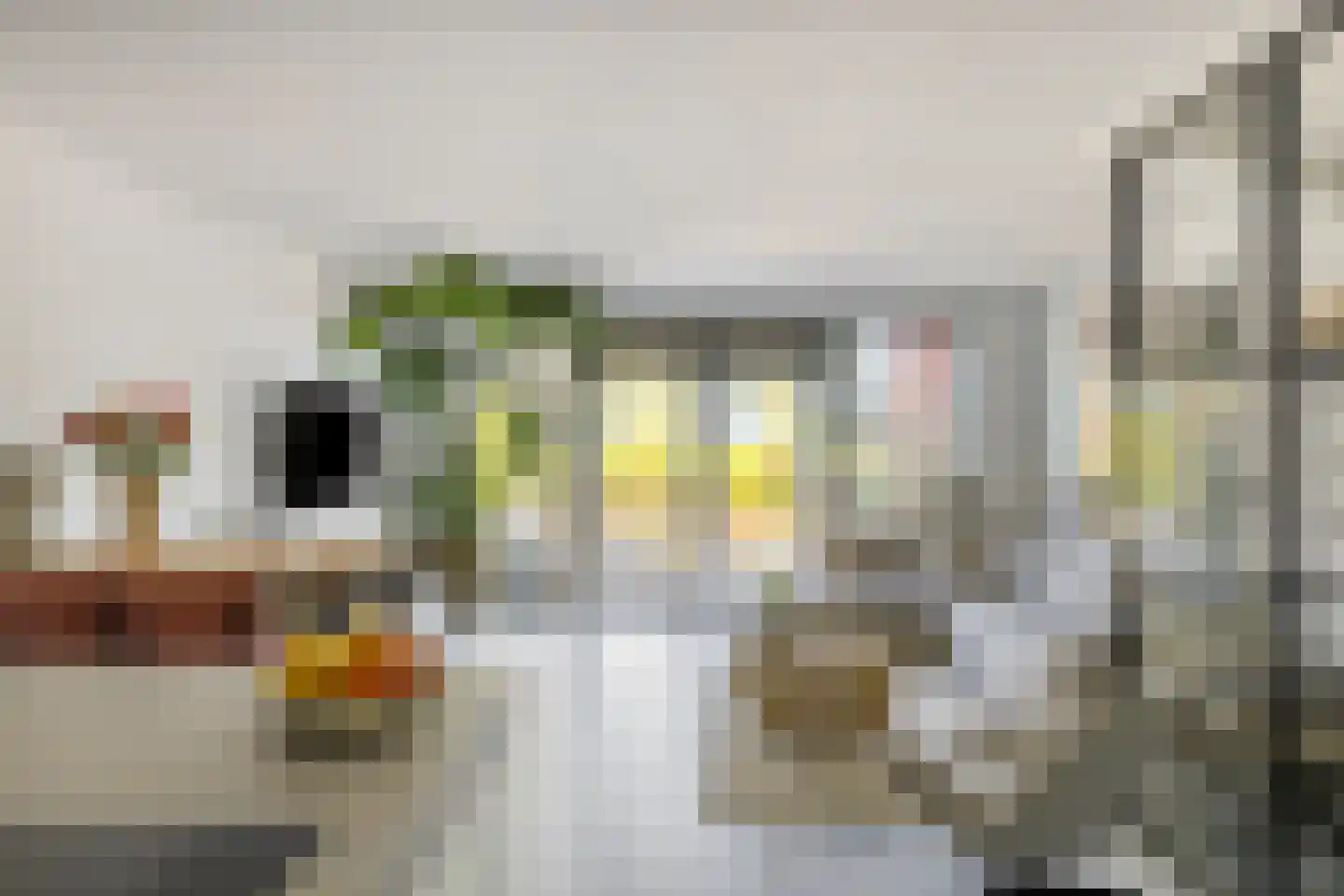 Dr. Schaepmanstraat 51 Assen thumbnail 11