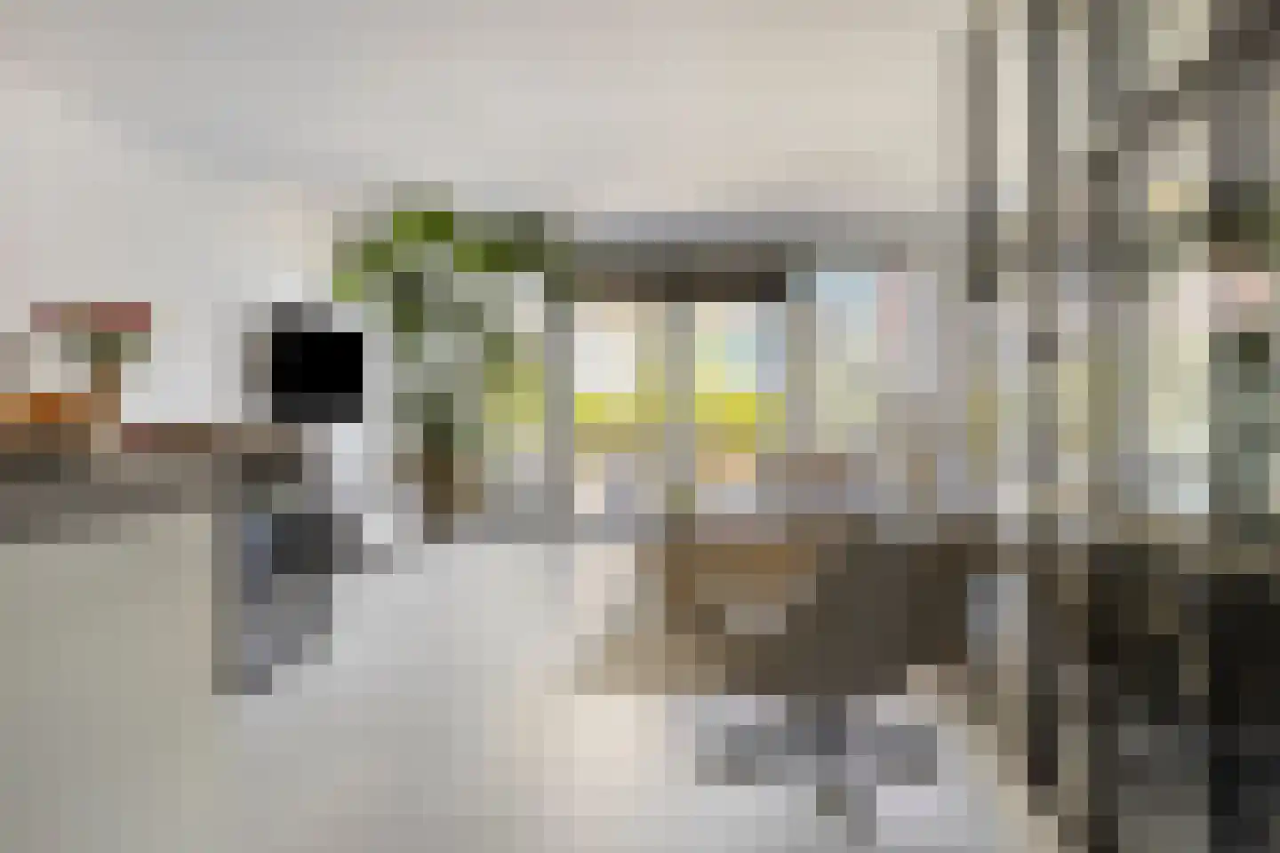 Dr. Schaepmanstraat 51 Assen thumbnail 12