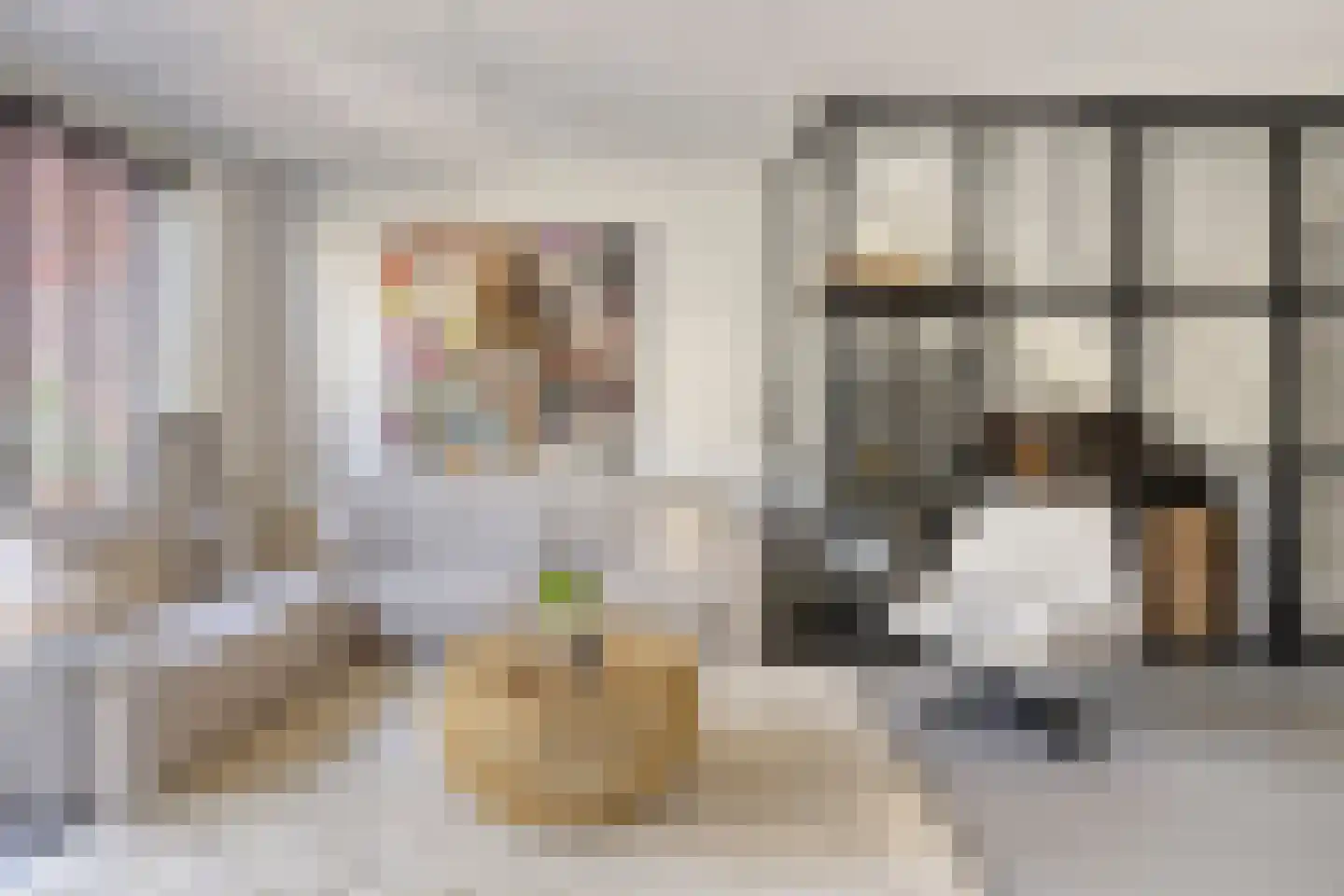 Dr. Schaepmanstraat 51 Assen thumbnail 16