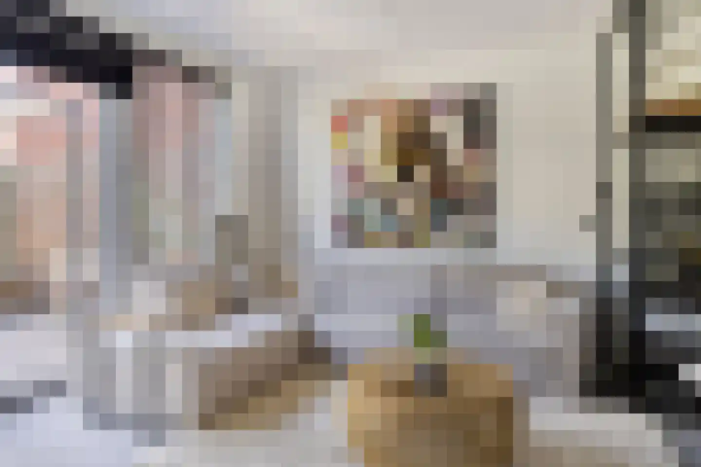 Dr. Schaepmanstraat 51 Assen thumbnail 17