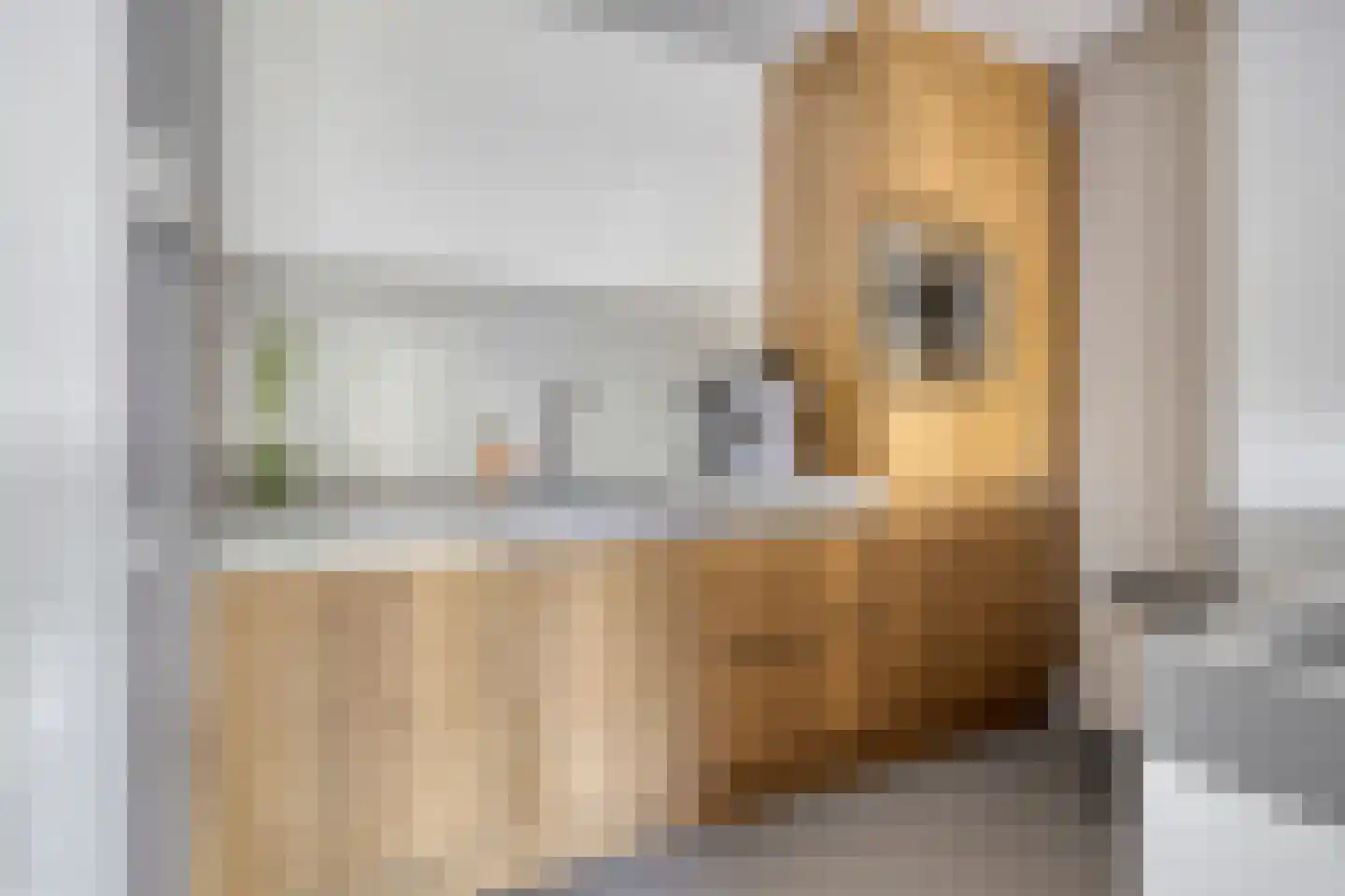 Dr. Schaepmanstraat 51 Assen thumbnail 23