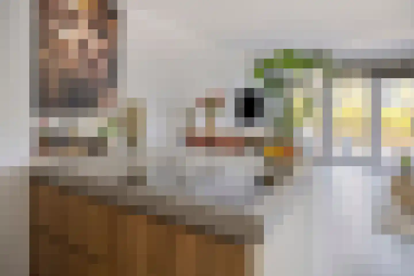 Dr. Schaepmanstraat 51 Assen thumbnail 24