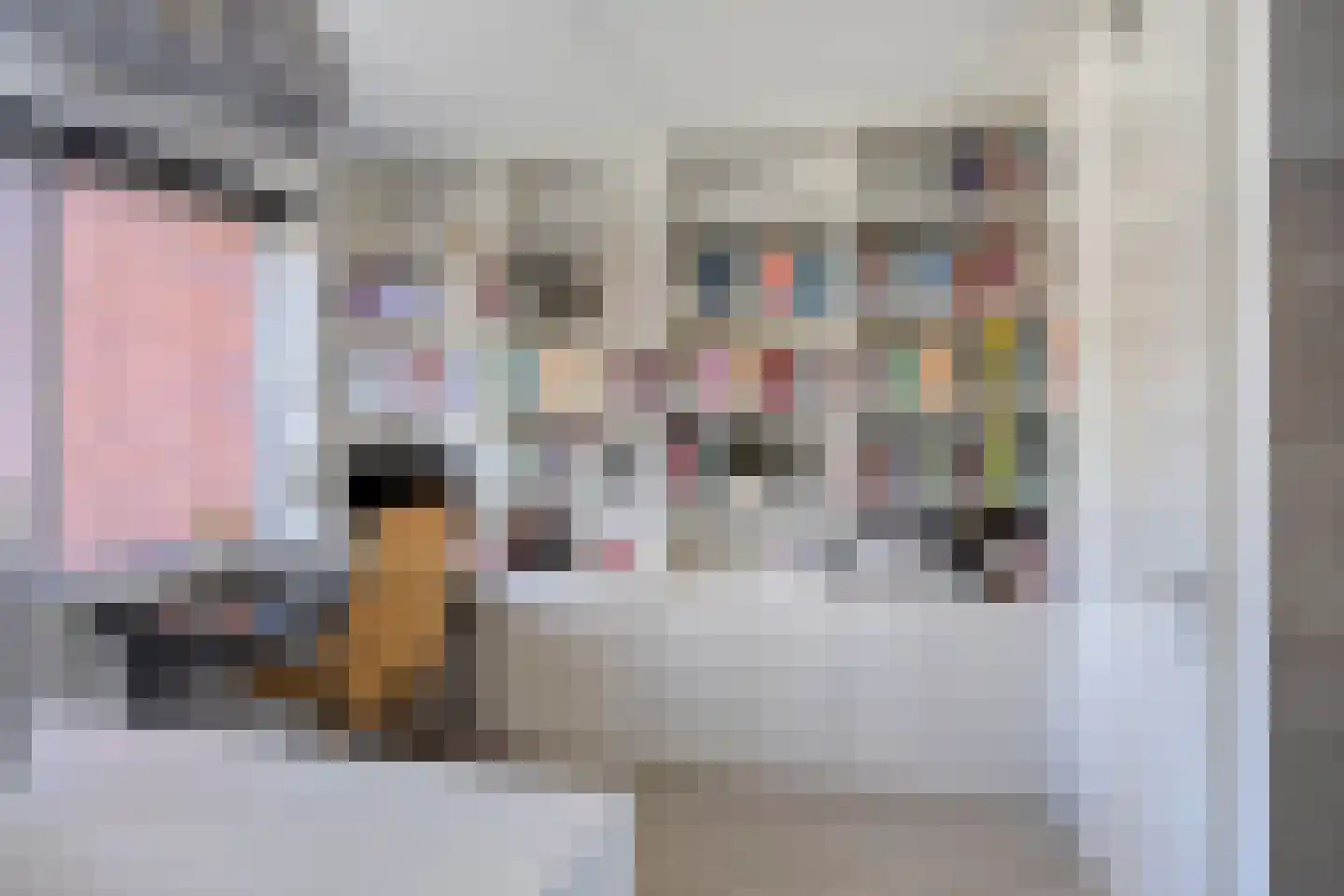 Dr. Schaepmanstraat 51 Assen thumbnail 33