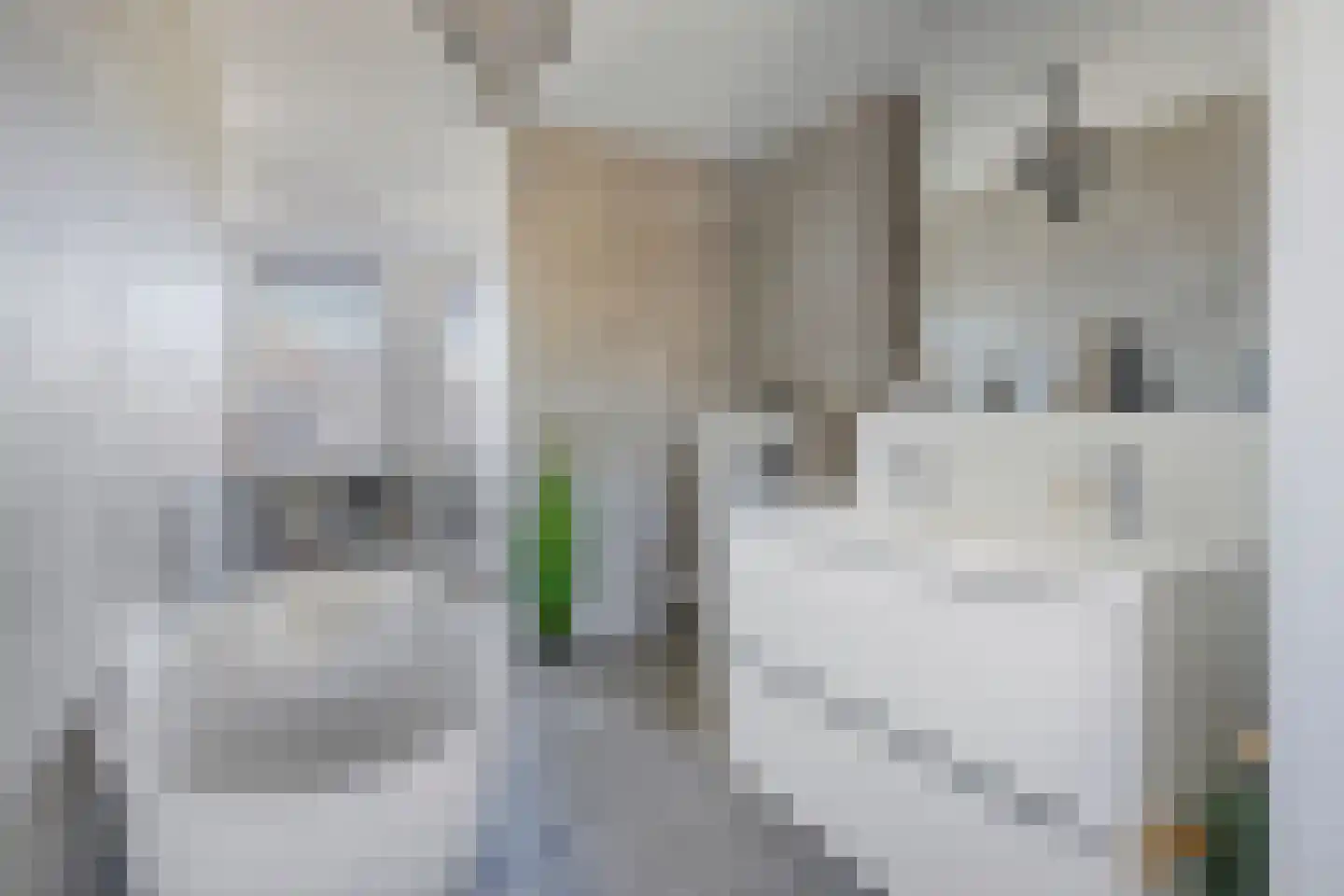 Dr. Schaepmanstraat 51 Assen thumbnail 35