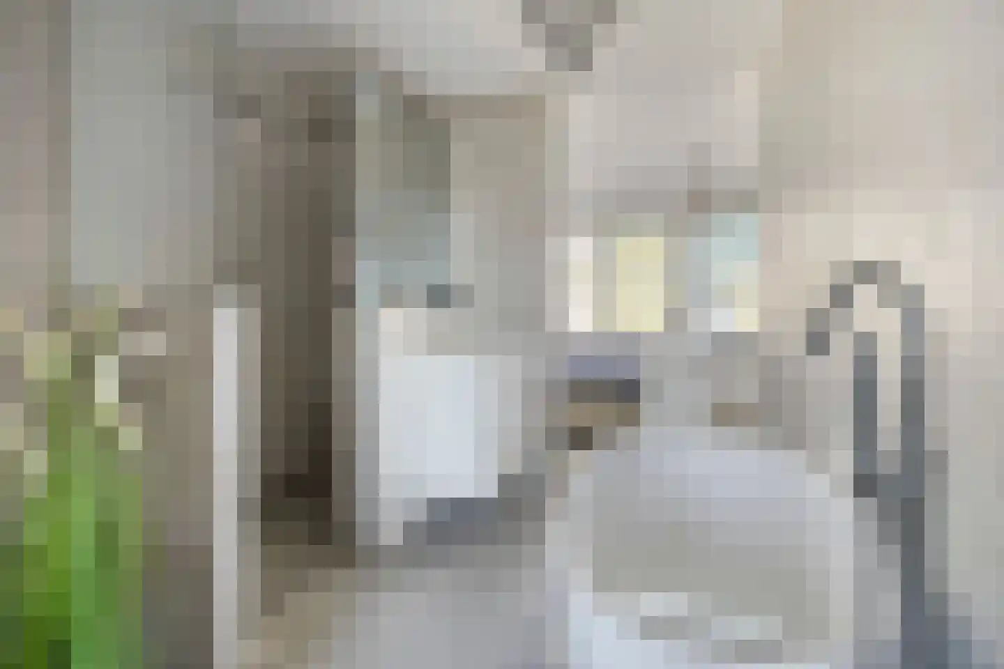 Dr. Schaepmanstraat 51 Assen thumbnail 36