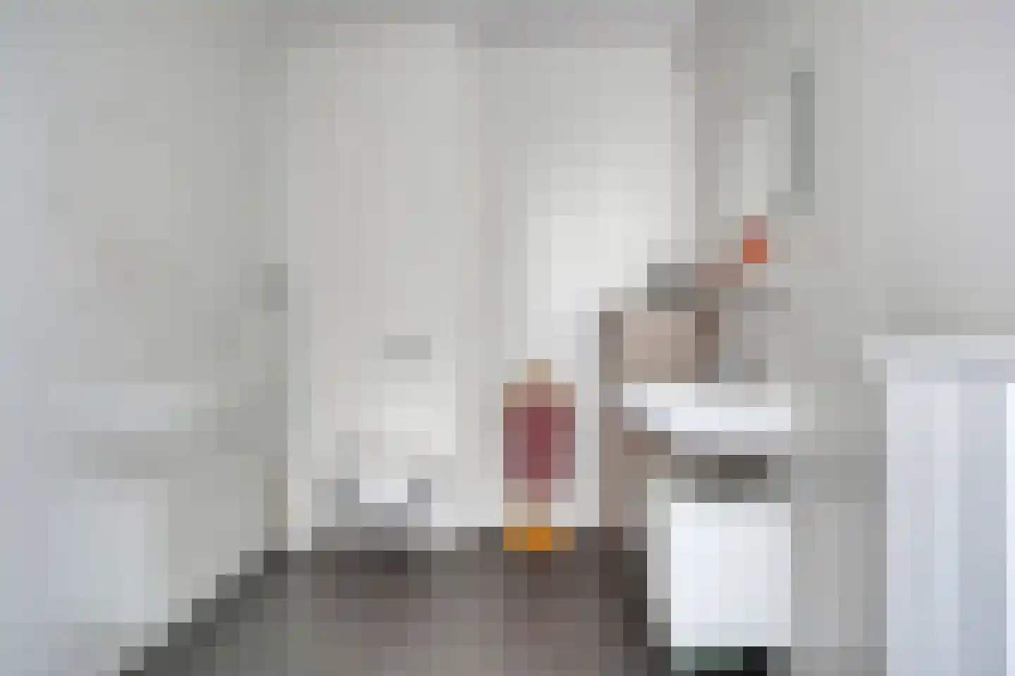 Dr. Schaepmanstraat 51 Assen thumbnail 52