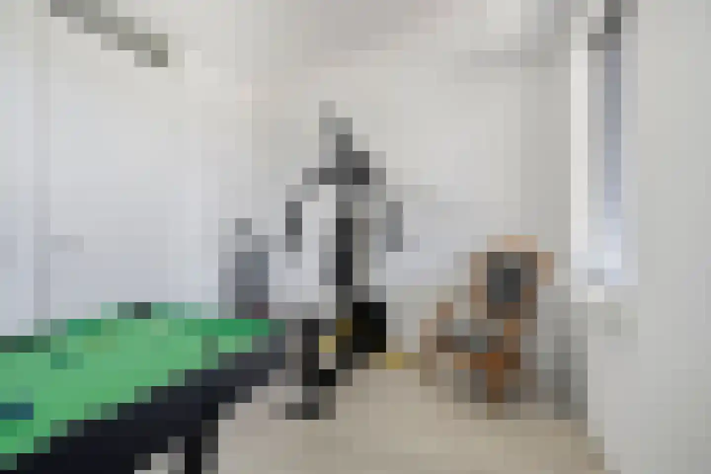 Dr. Schaepmanstraat 51 Assen thumbnail 58