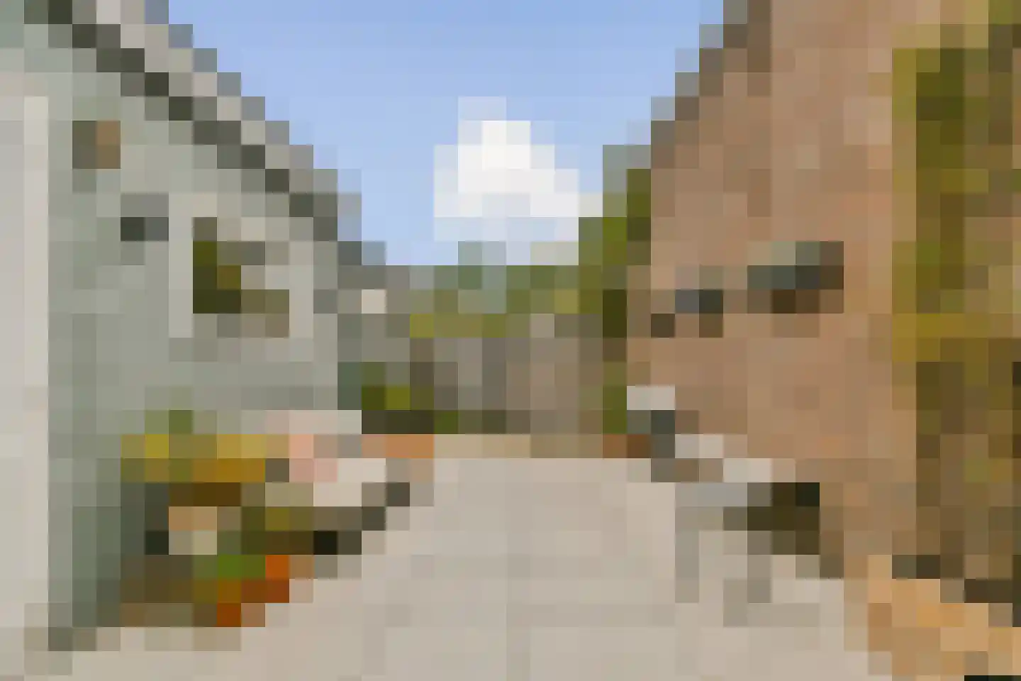 Dr. Schaepmanstraat 52 Haarlem thumbnail 11