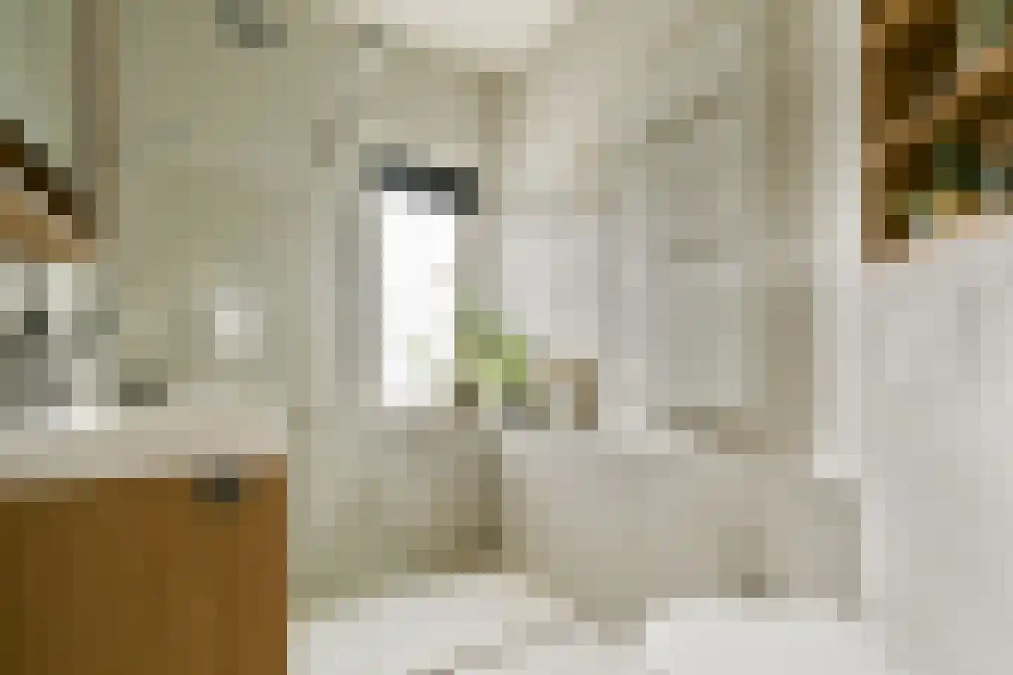Dr. Schaepmanstraat 52 Haarlem thumbnail 20