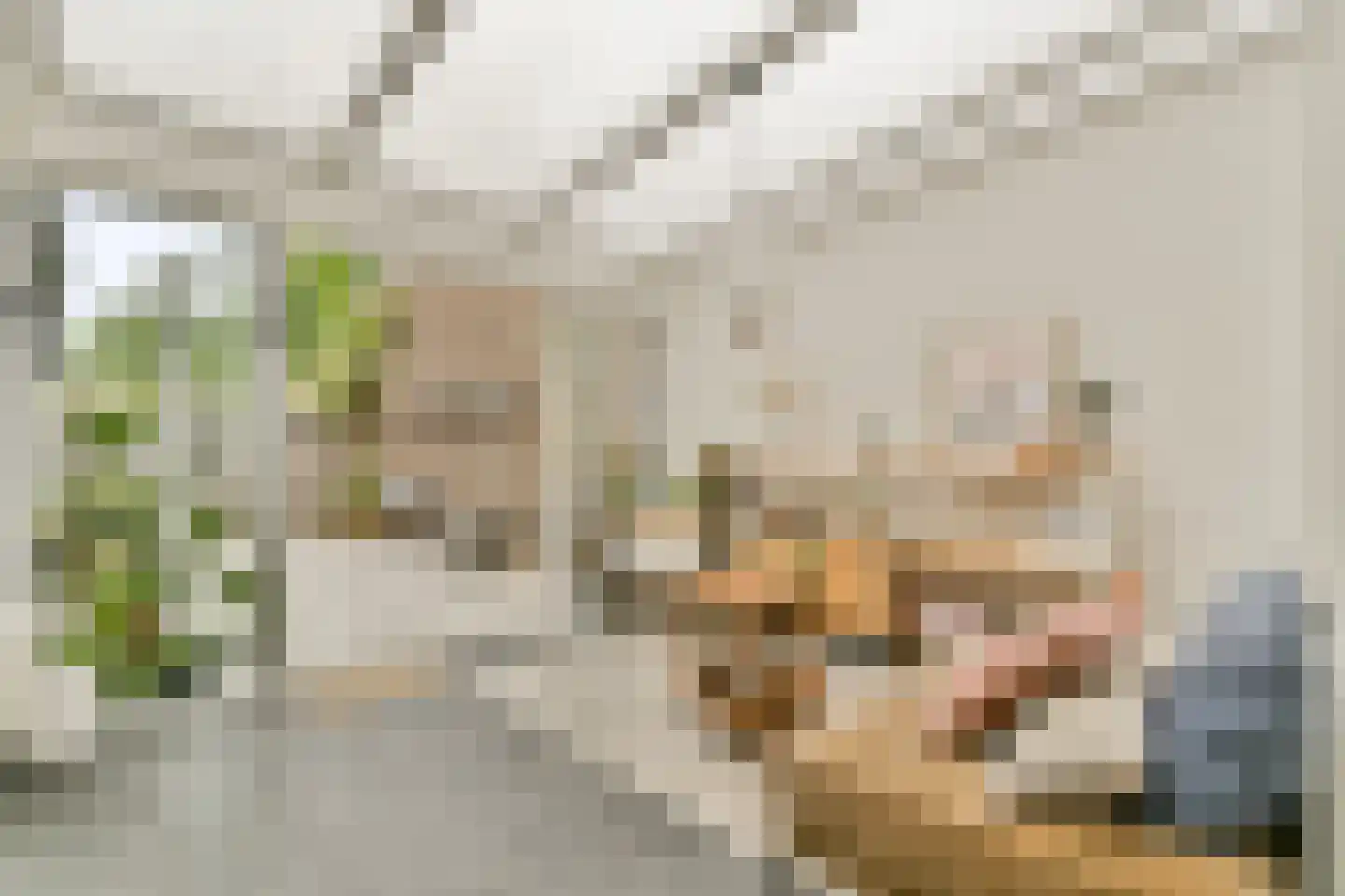 Dr. Schaepmanstraat 52 Haarlem thumbnail 8