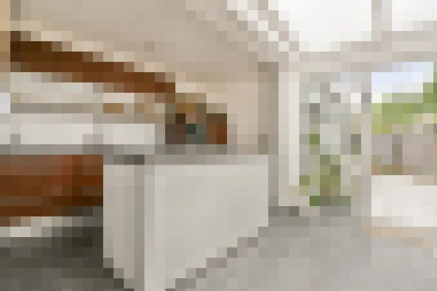 Dr. Schaepmanstraat 52 Haarlem thumbnail 9