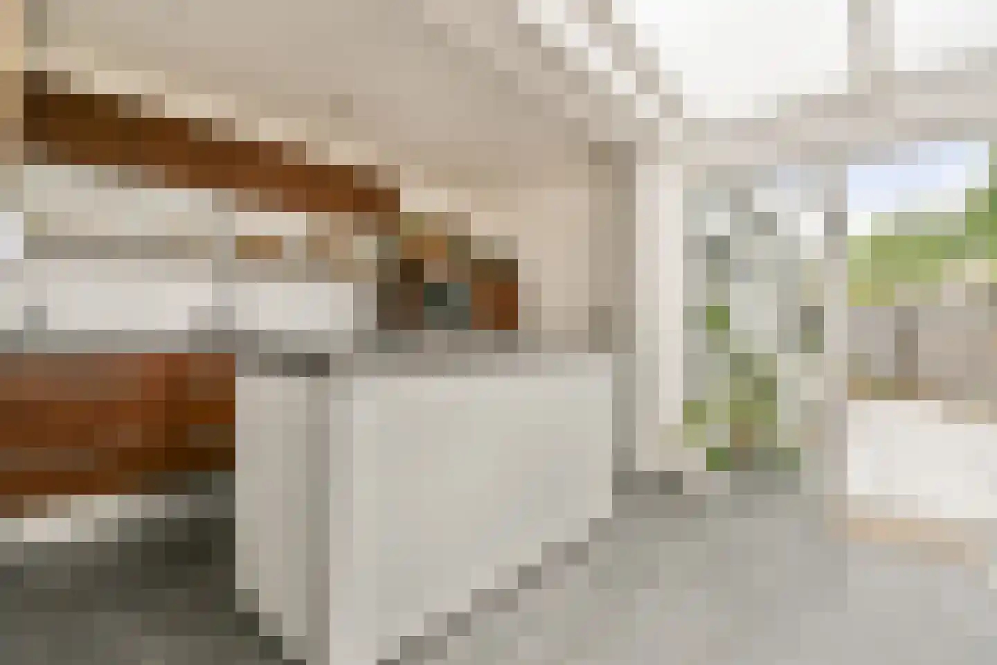 Dr. Schaepmanstraat 52 Haarlem thumbnail 9