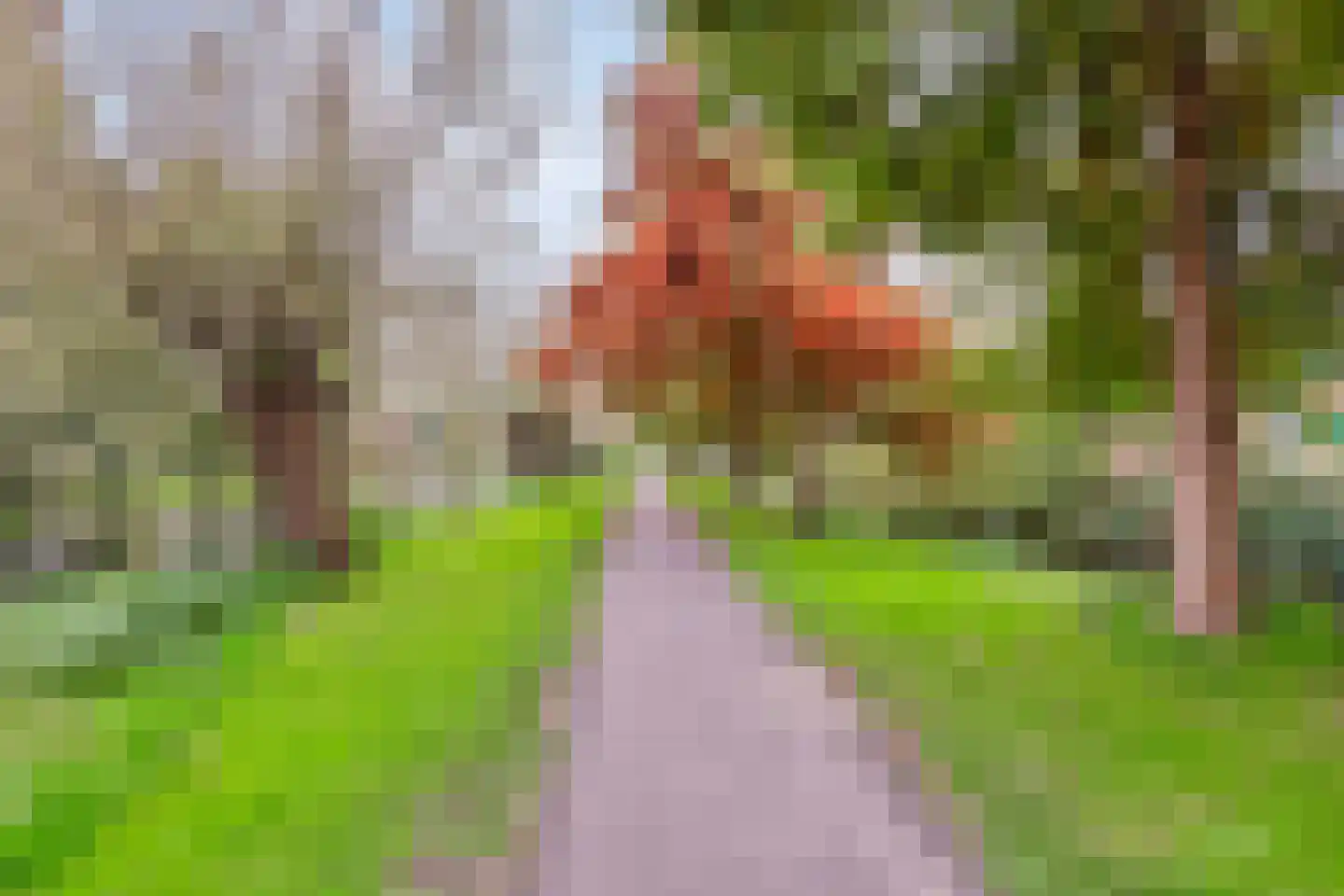 Dr Schaepmanstraat 55 Wateringen thumbnail 23