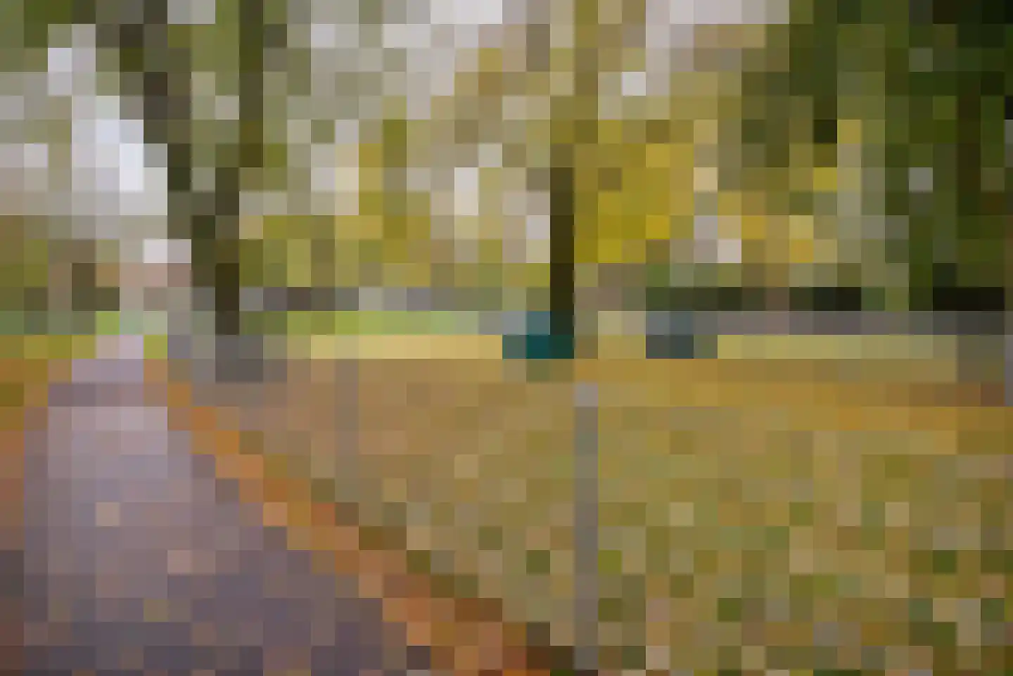 Dr Schaepmanstraat 55 Wateringen thumbnail 26