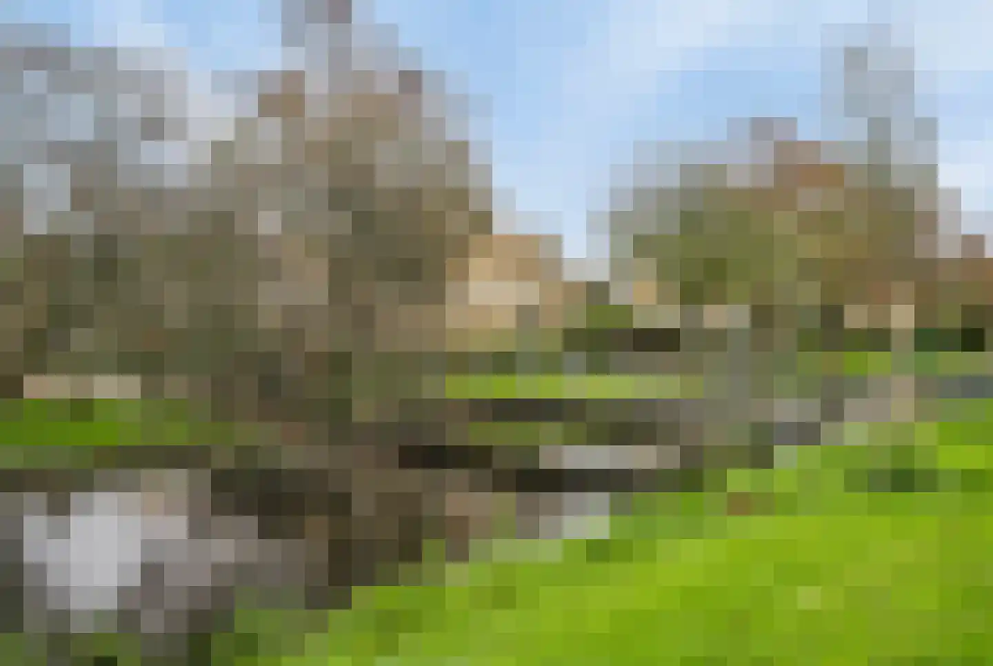 Dr Schaepmanstraat 55 Wateringen thumbnail 27