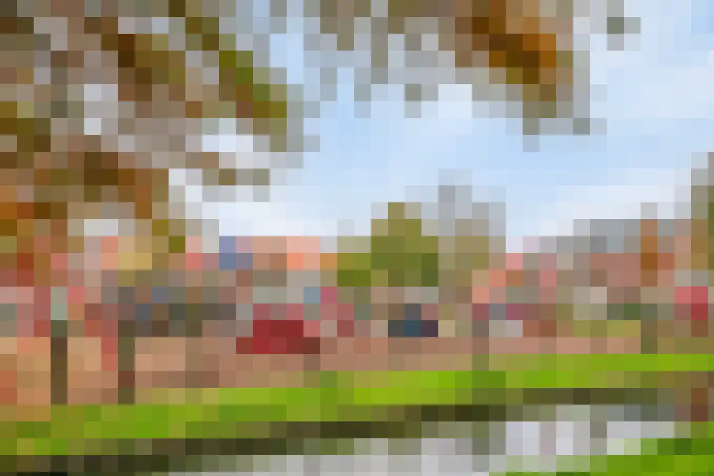 Dr Schaepmanstraat 55 Wateringen thumbnail 29