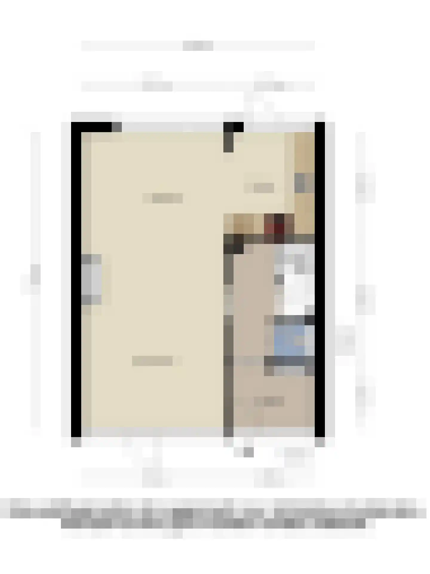 Dr Schaepmanstraat 55 Wateringen thumbnail 32
