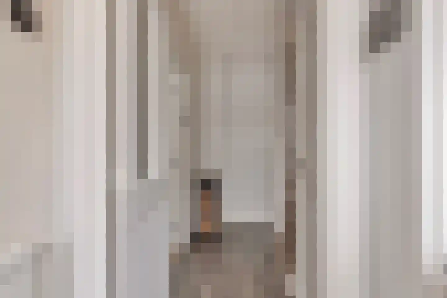 Dr Schaepmanstraat 55 Wateringen thumbnail 6